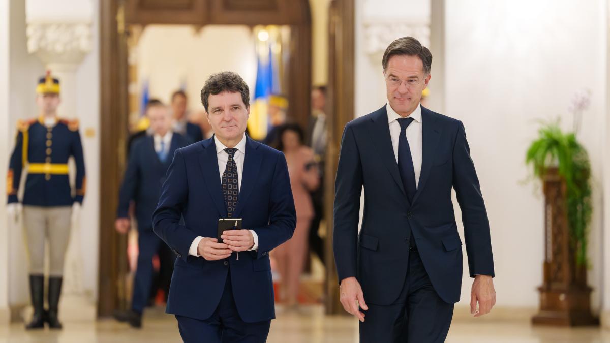 mark rutte si nicusor dan
