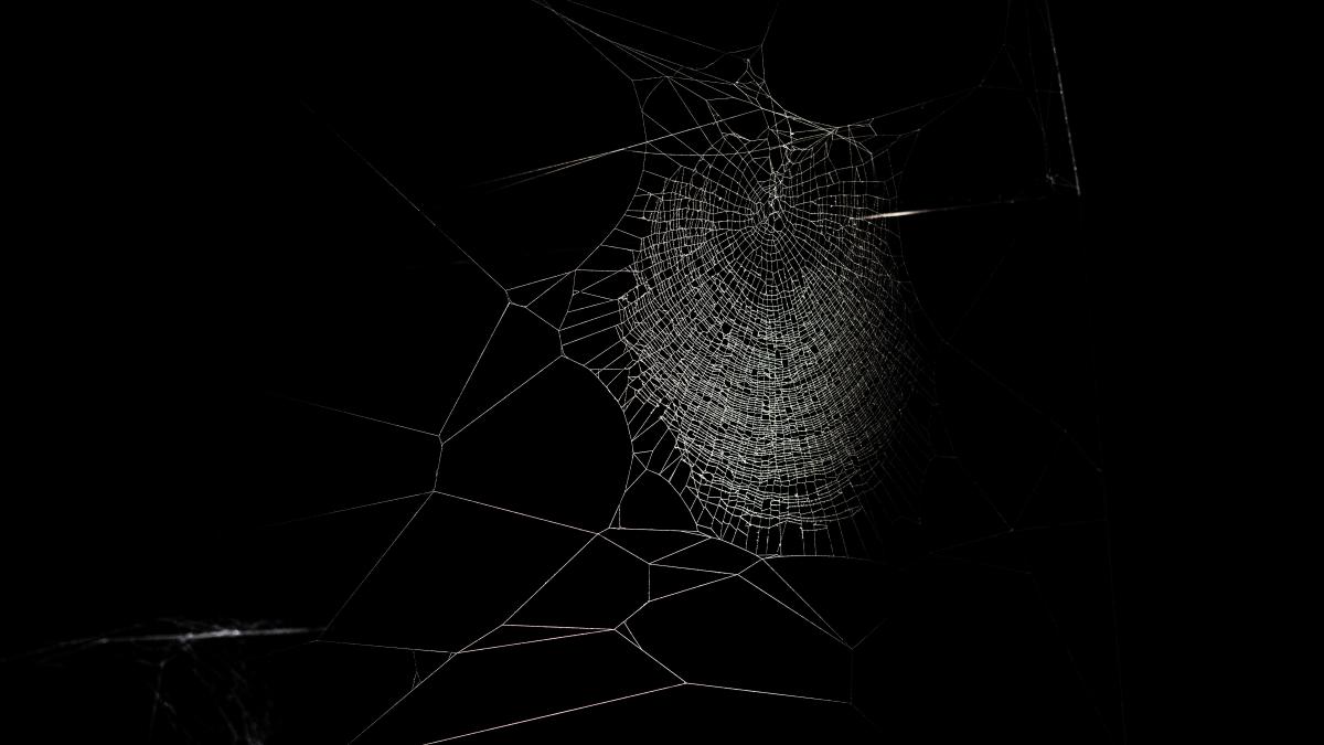 Pânză păianjen