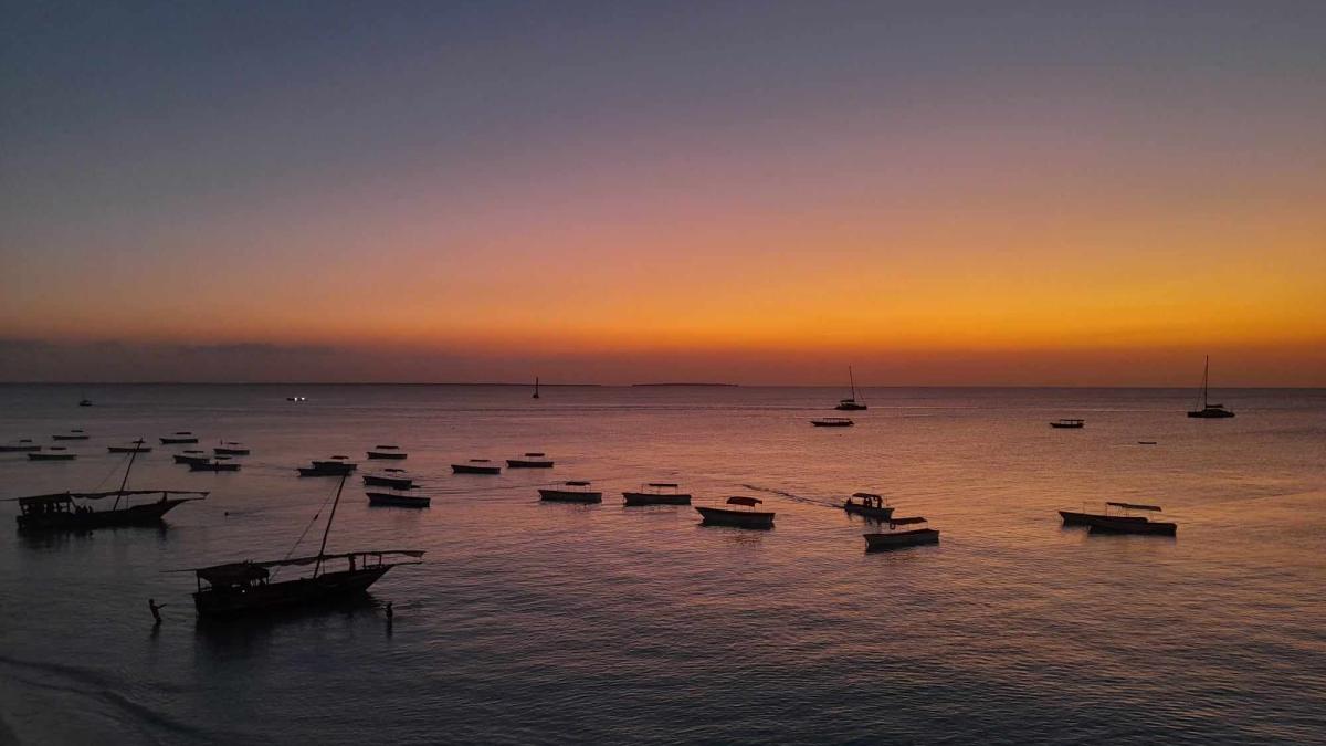 zanzibar-17_10303400