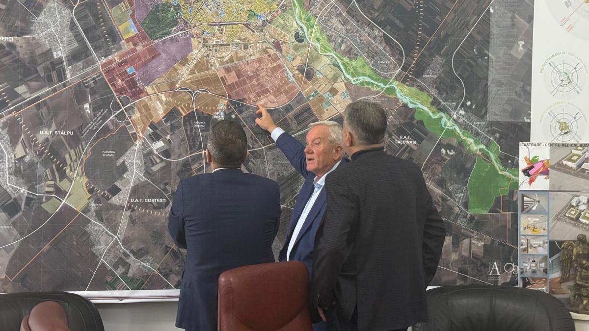 buzau toma ciolacu grindeanu