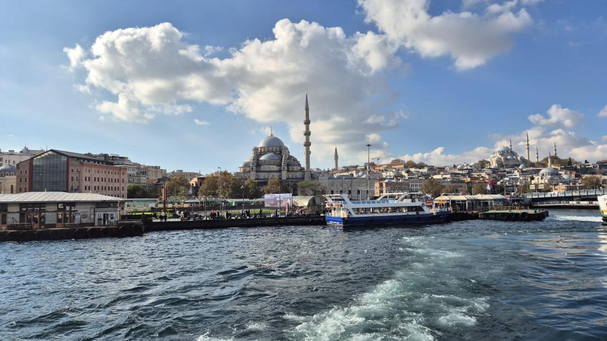 Istanbul - Roxana Neagu