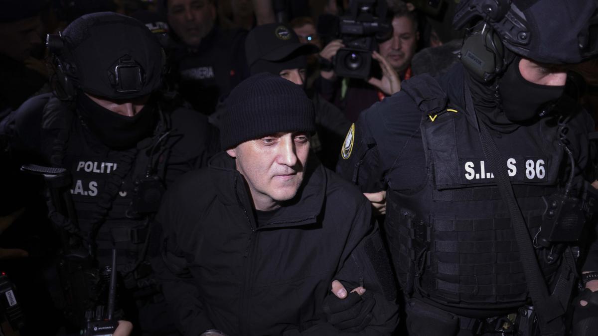 INSTANT_POTRA_OTOPENI_INQUAM_Photos_Octav_Ganea