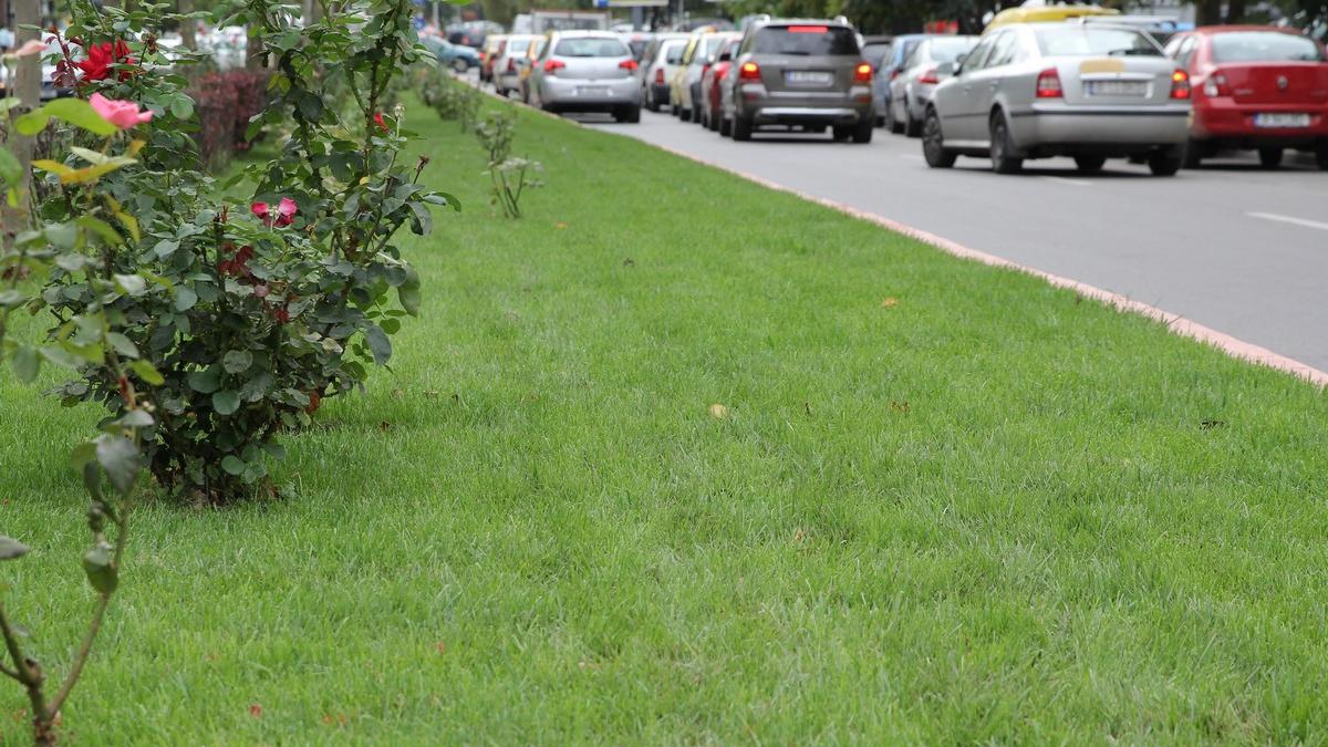 sector 3 cel mai verde din capitala