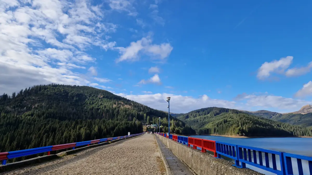 transbucegi