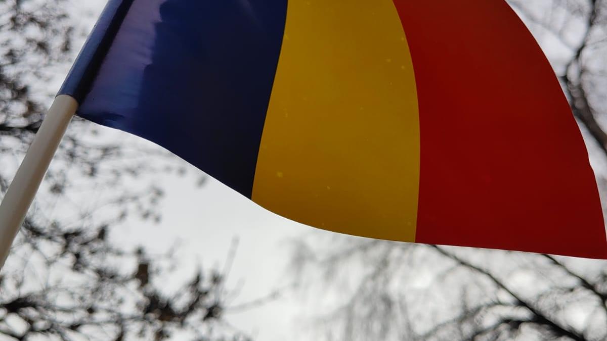 monika baciu 1 decembrie petrosani