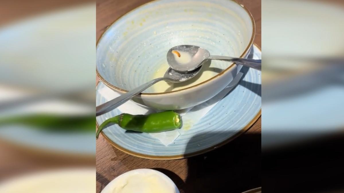 vierme in ciorbă restaurant Dambovita