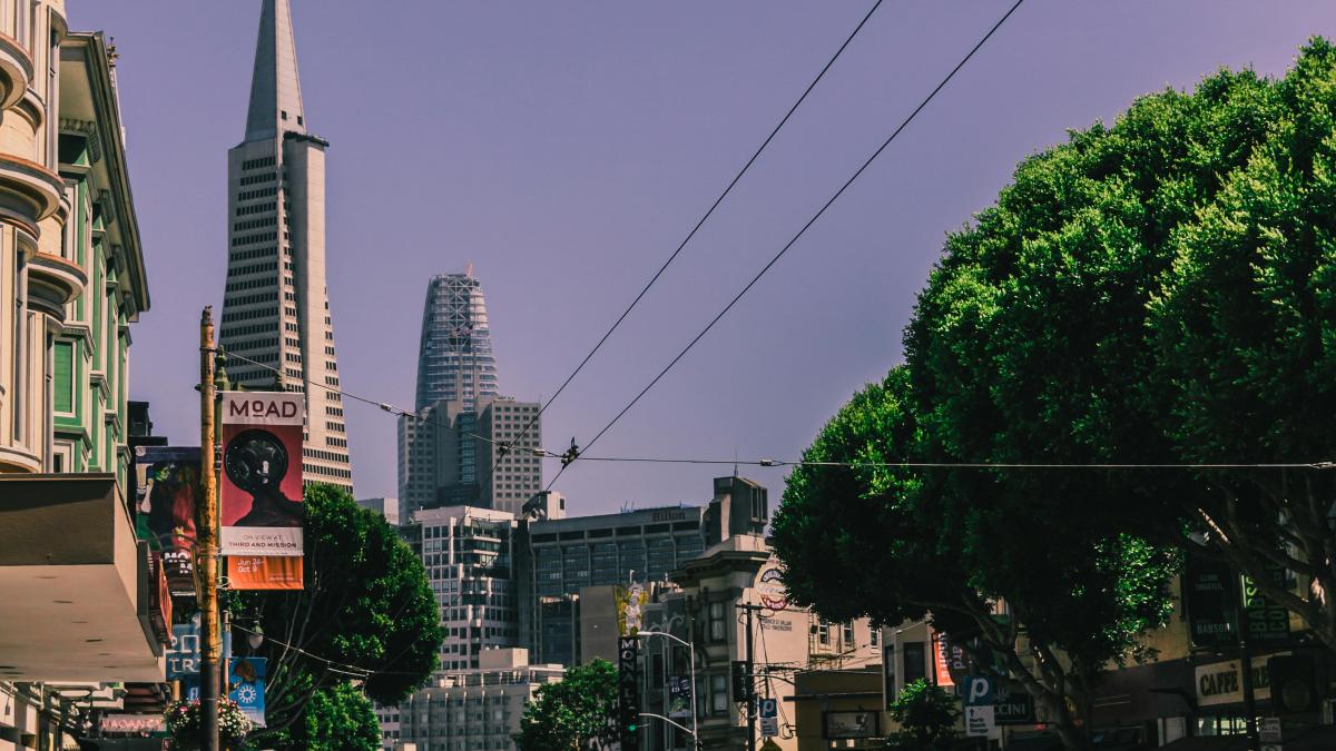 California/ pexels ilustrativ