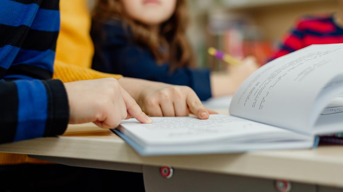 adevarata problema a programei de limba si literatura romana pentru clasa a ix a ce ii lipseste de fapt video