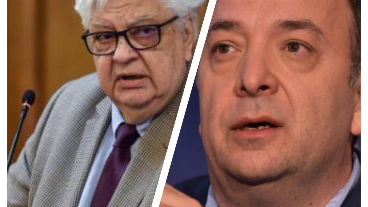 adrian negrescu si mircea coșea