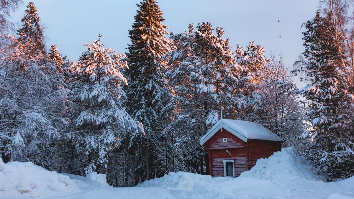 solstitiu de iarna 2025