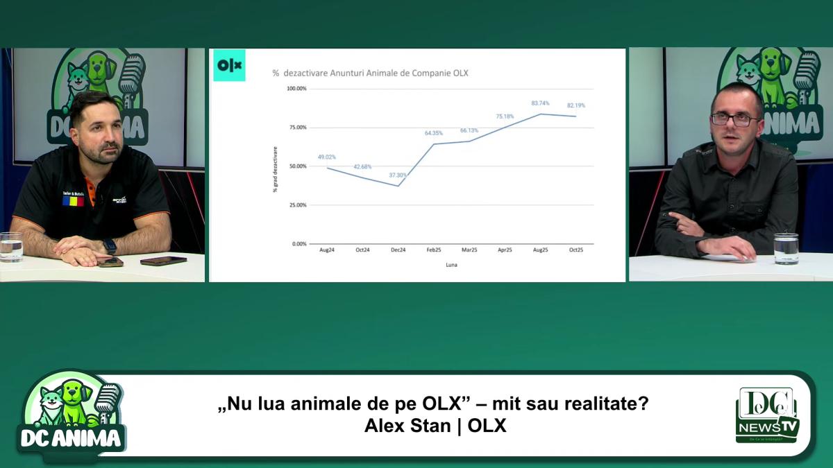 anunturi aniamle olx