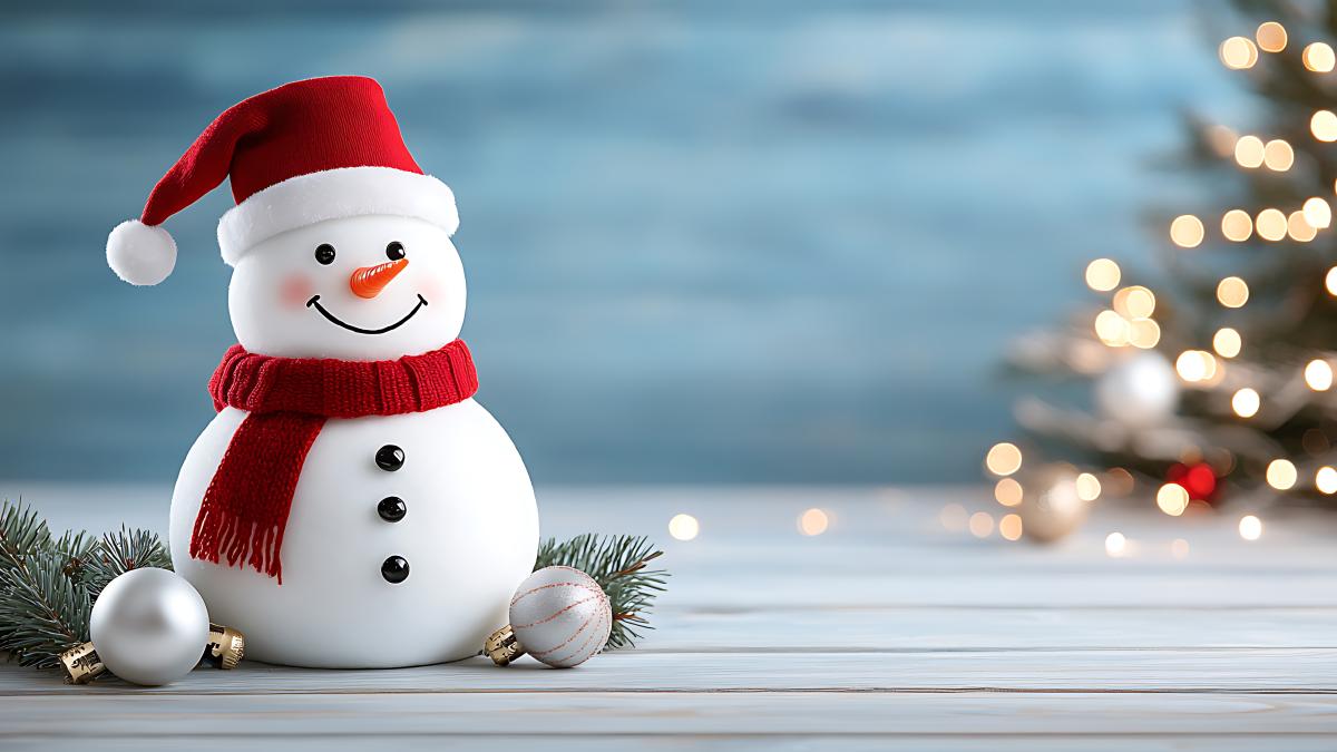 om de zapada decoratiuni brad craciun