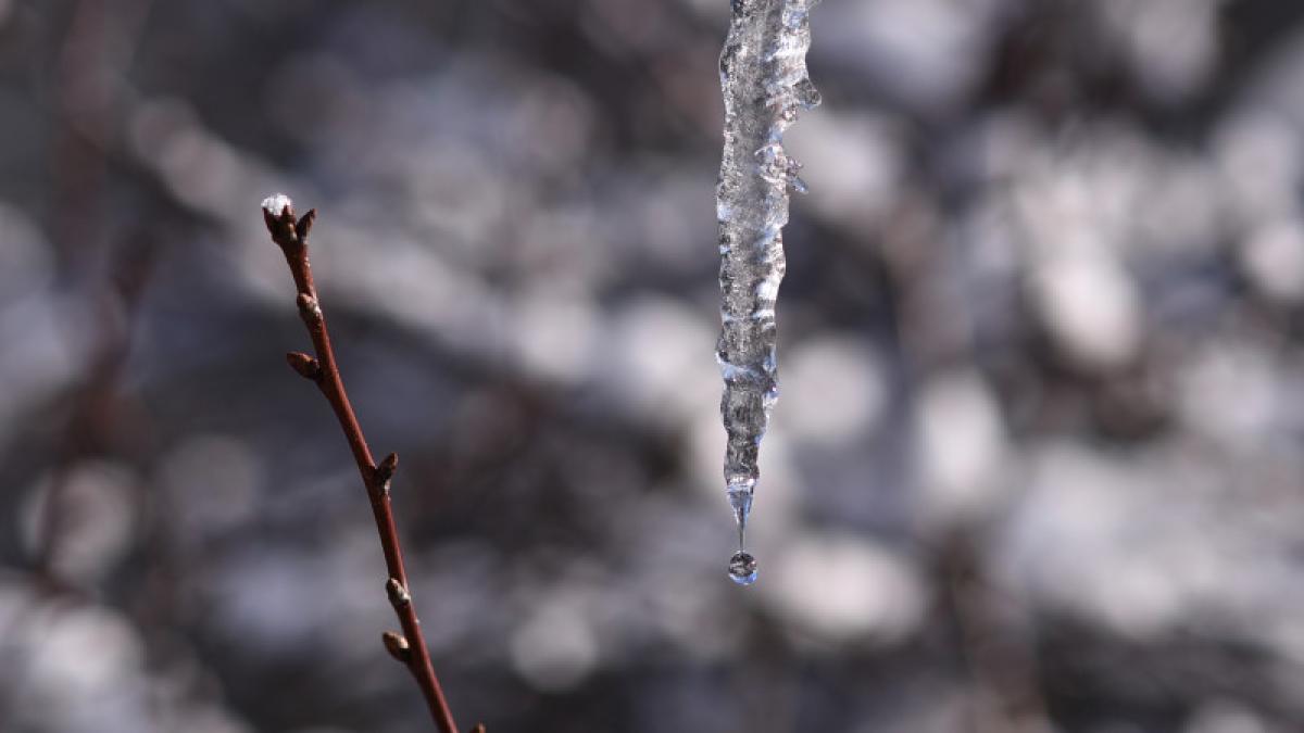 cod rosu de viscol intr un judet din romania alte regiuni sub cod portocaliu anm informatii de ultima ora
