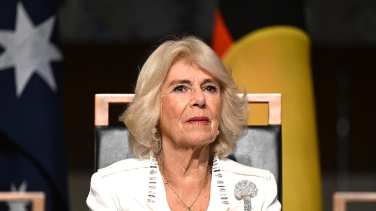 camilla-istorie-titlu_65806400