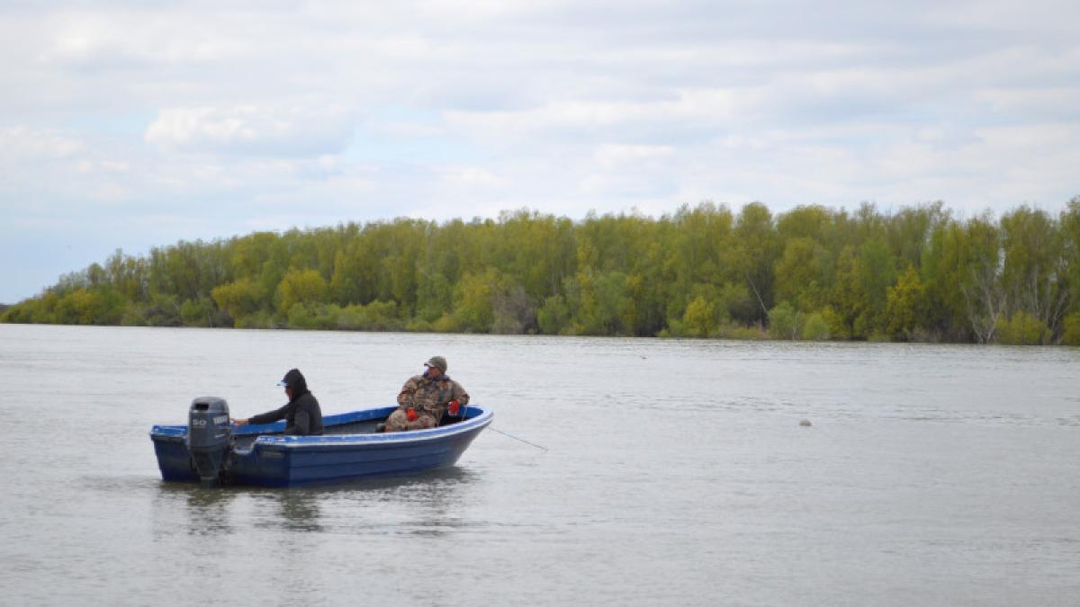 pescuit barbati pescari