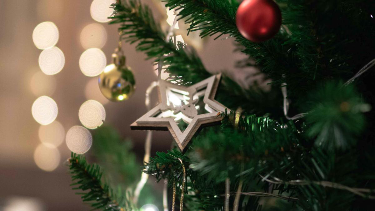 brad de craciun globuri lumini pexels foto
