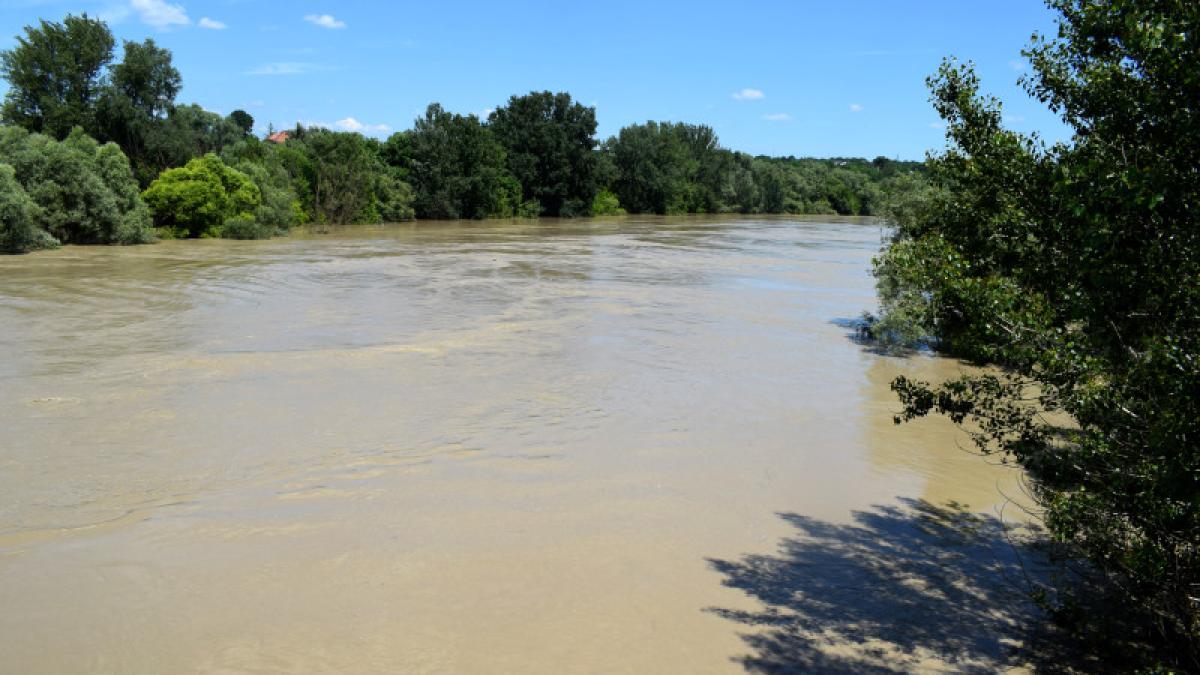 prut botosani radauti