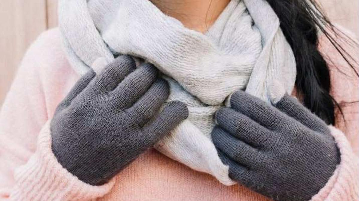 ger temperaturi anm frig manusi