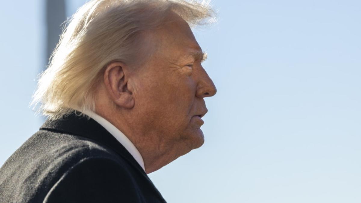 donald trump presedintele sua din profil