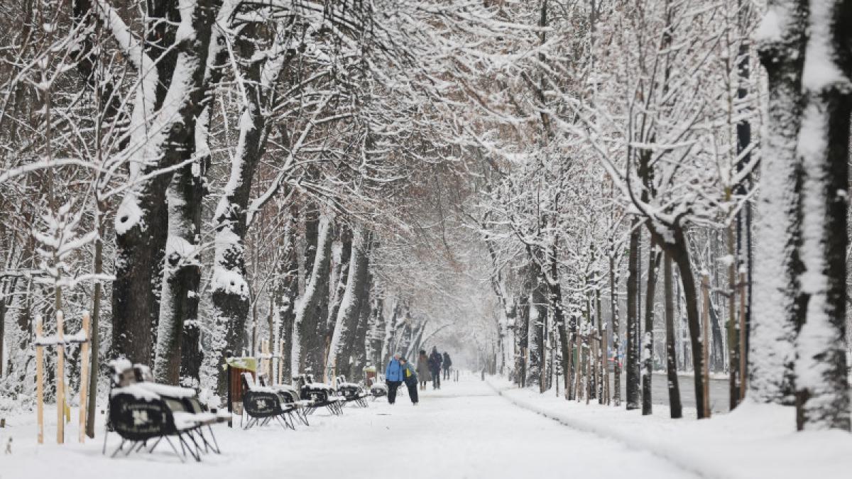 iarna ger zăpadă