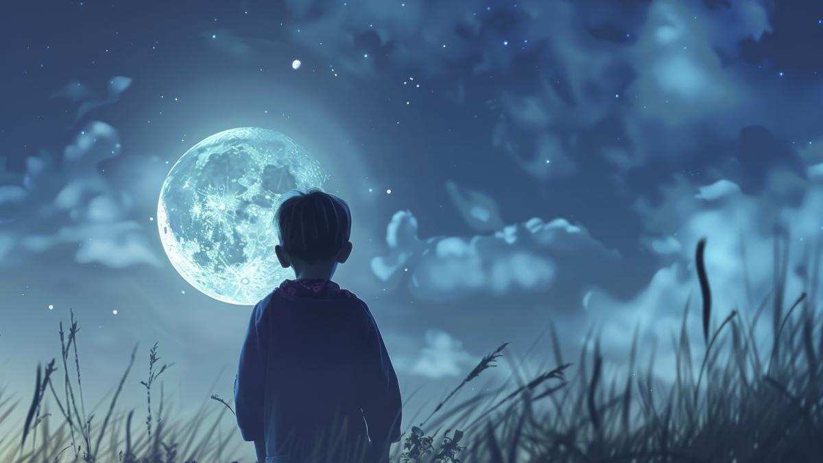 peisaj digital baiat se uita la luna