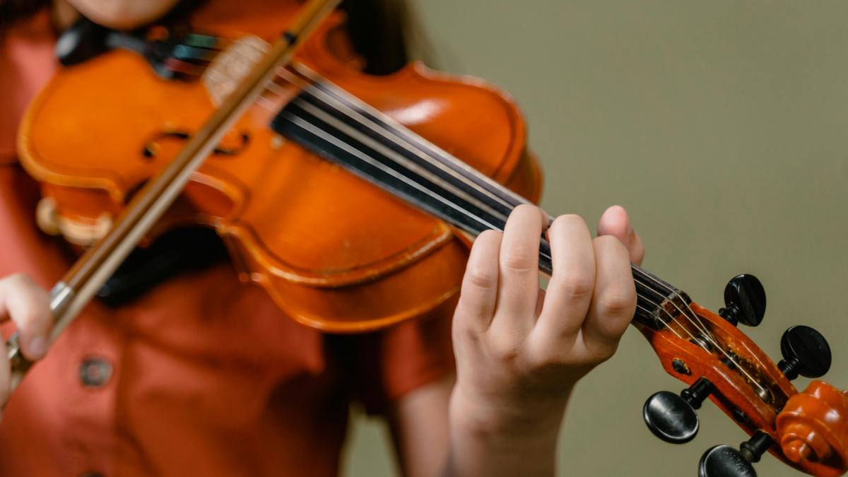 vioara pexels-mart-production-8471819