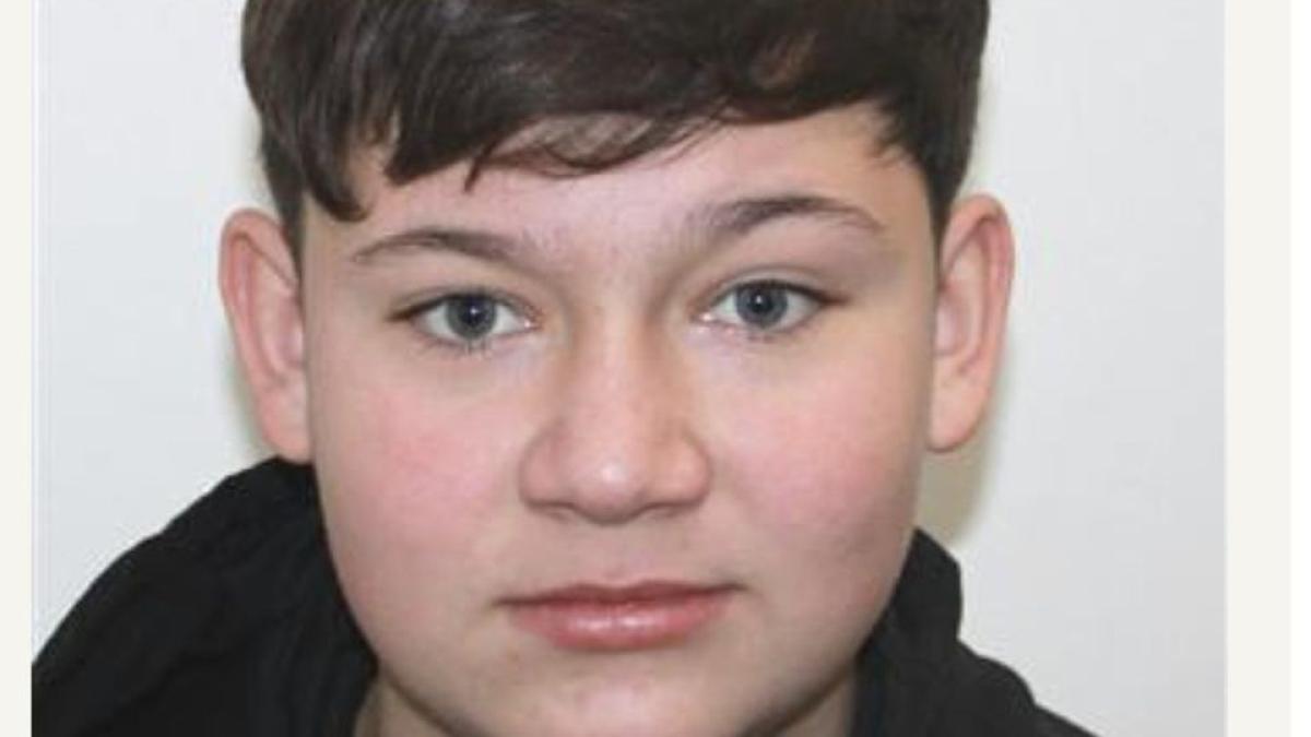 Imagine cu Mario,  copilul din Timiș ucis și îngropat de prietenii lui