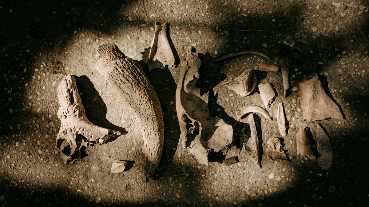 descoperire arheologica