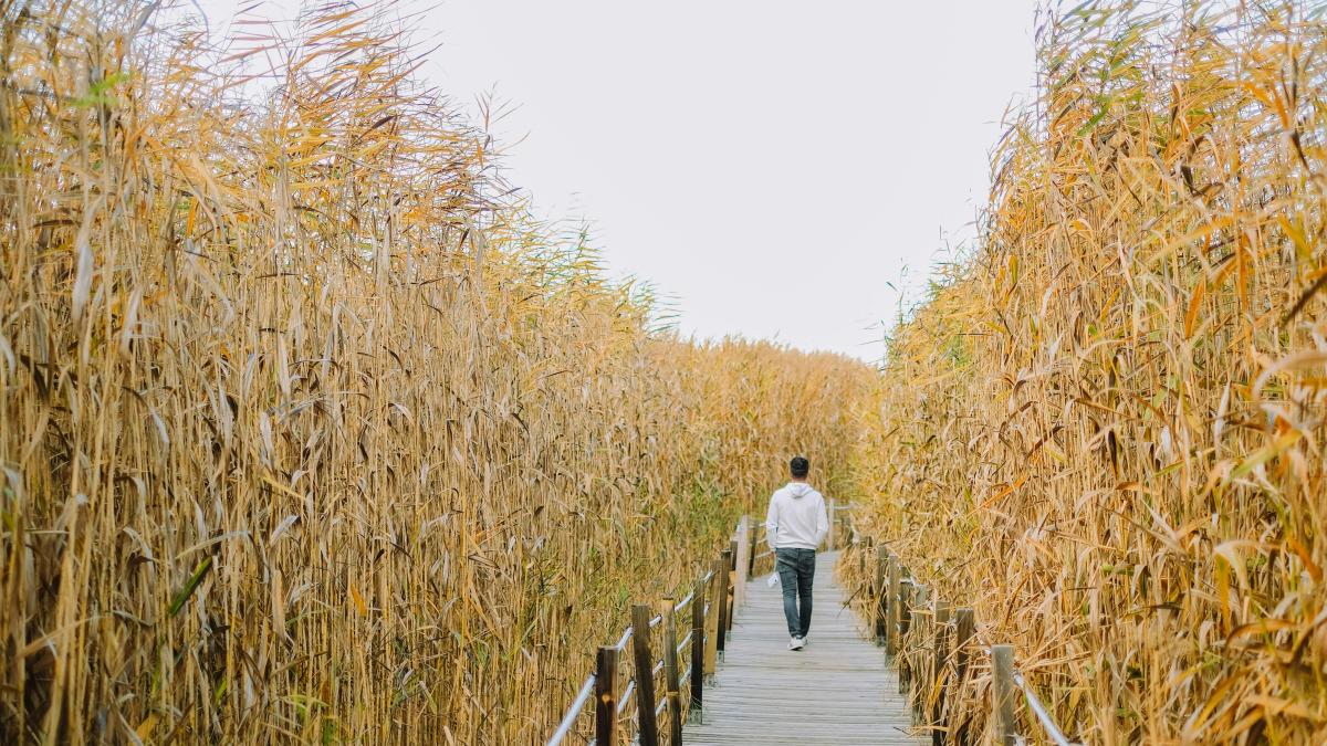 bărbat / pexels-gulsahaydgn-18887675
