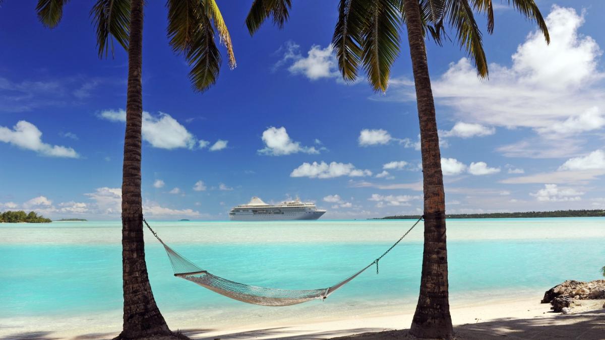 WhatsApp Image 2026-02-12 at 11.02.07 (3)