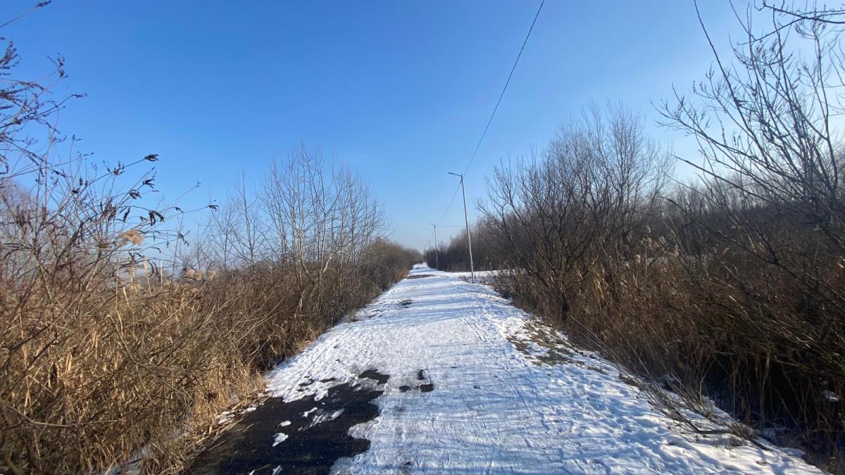 meteo vreme ninsoare 