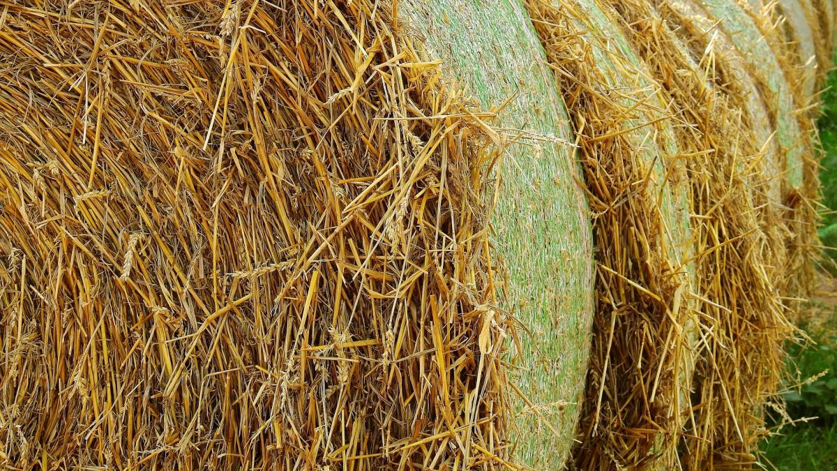 imagine cu un balot de fân