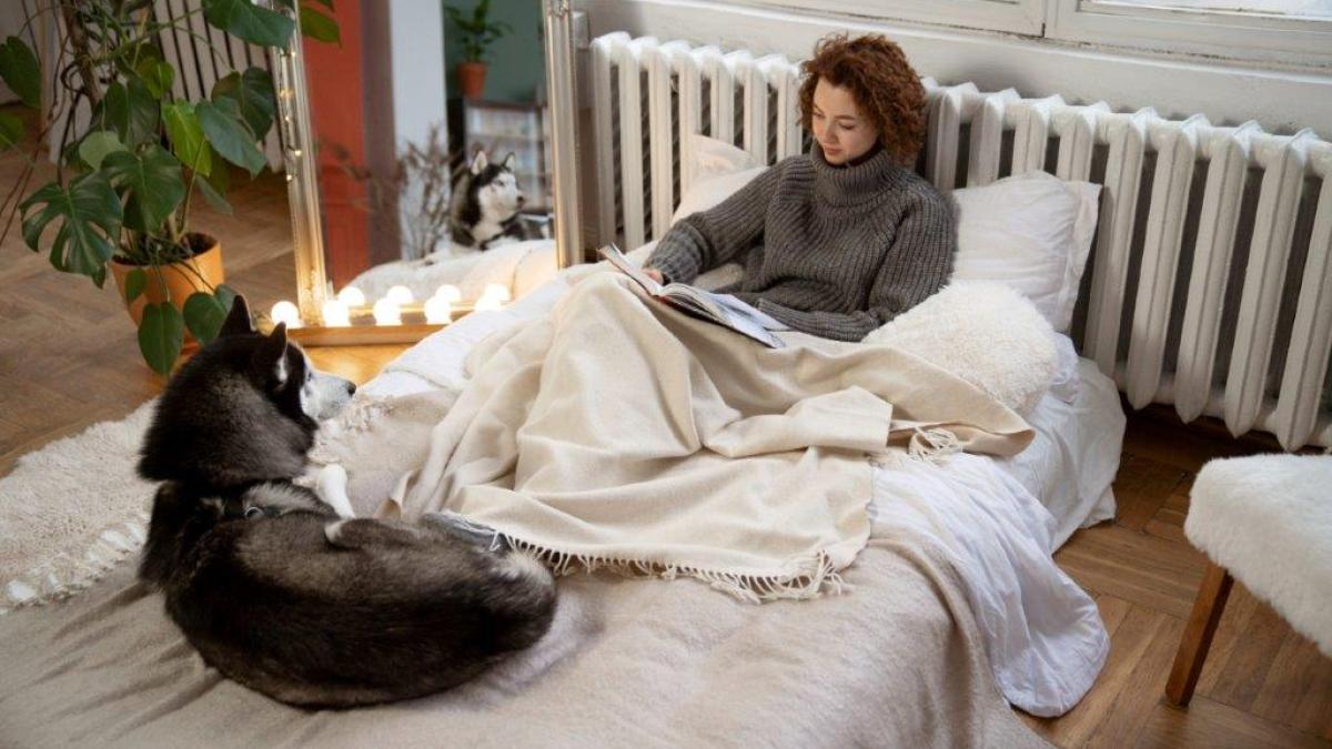 la cat setez centrala in condensare - Freepik