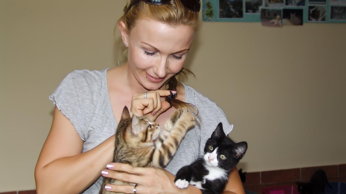 300 de pisici vor fi sterilizate gratuit în Ilfov în perioada martie-aprilie. Cum te programezi