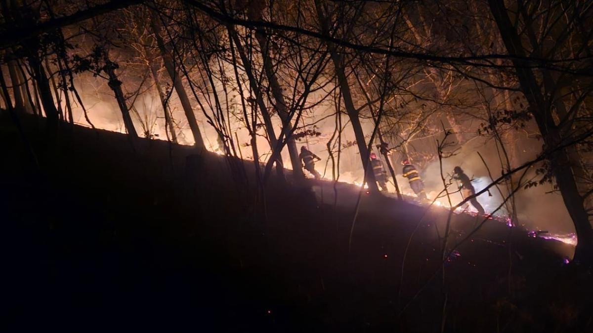 incendiu padure pompieri