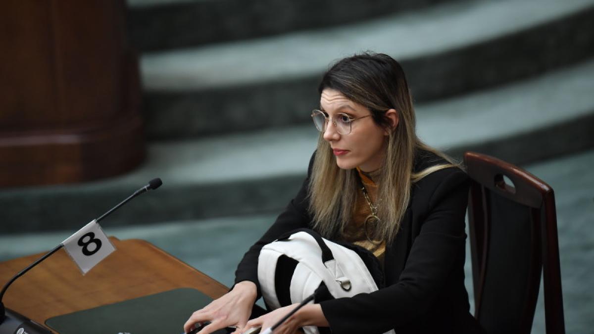 Ministra Mediului, Diana Buzoianu in Parlament