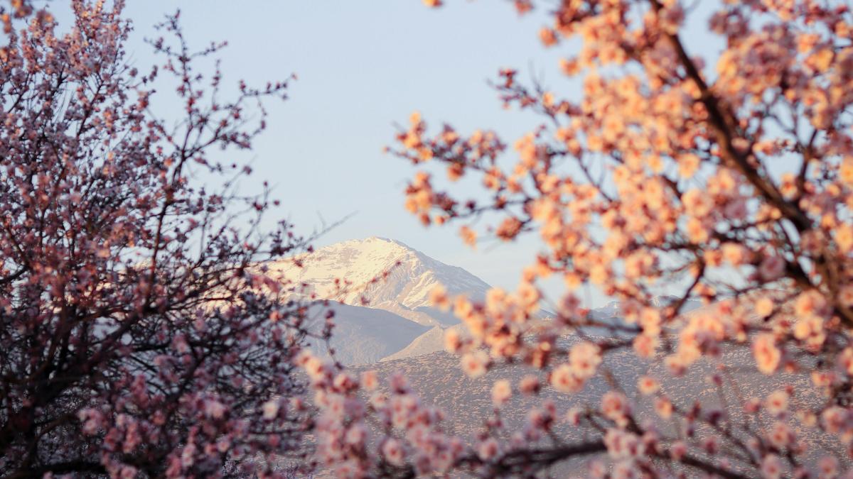 vremea bucuresti romania
