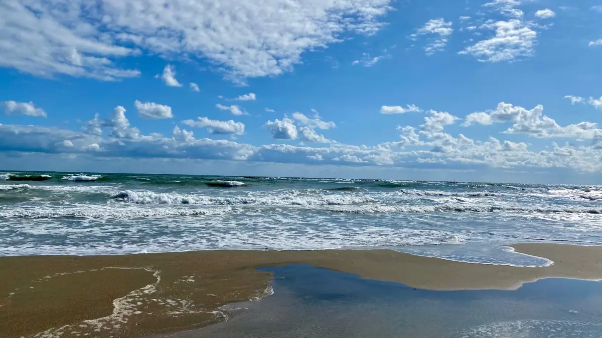 mare