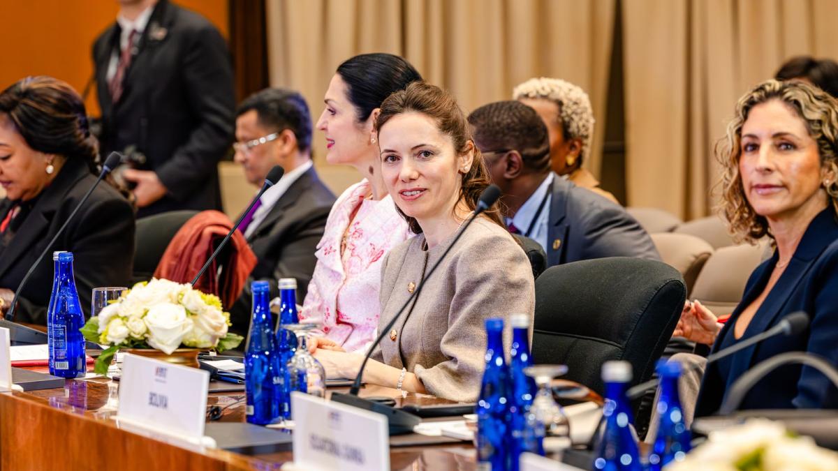 Discursul Mirabelei Grădinaru la Summit-ul Coaliției Globale 