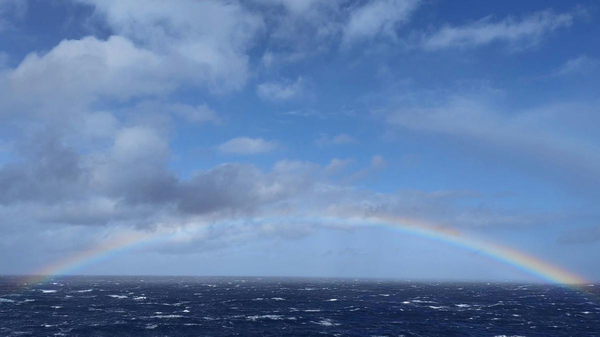 Știai că există curcubee albe? Iată explicația științifică din spatele lor 