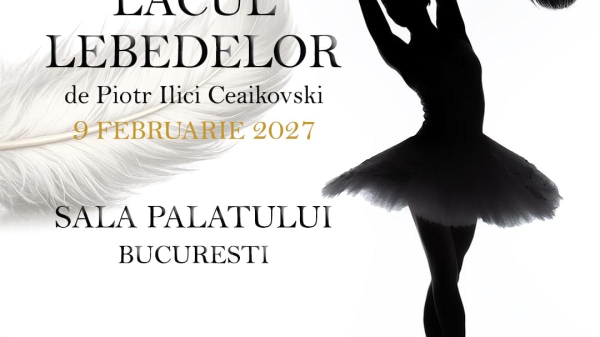 WhatsApp Image 2026-03-29 at 14.31.37