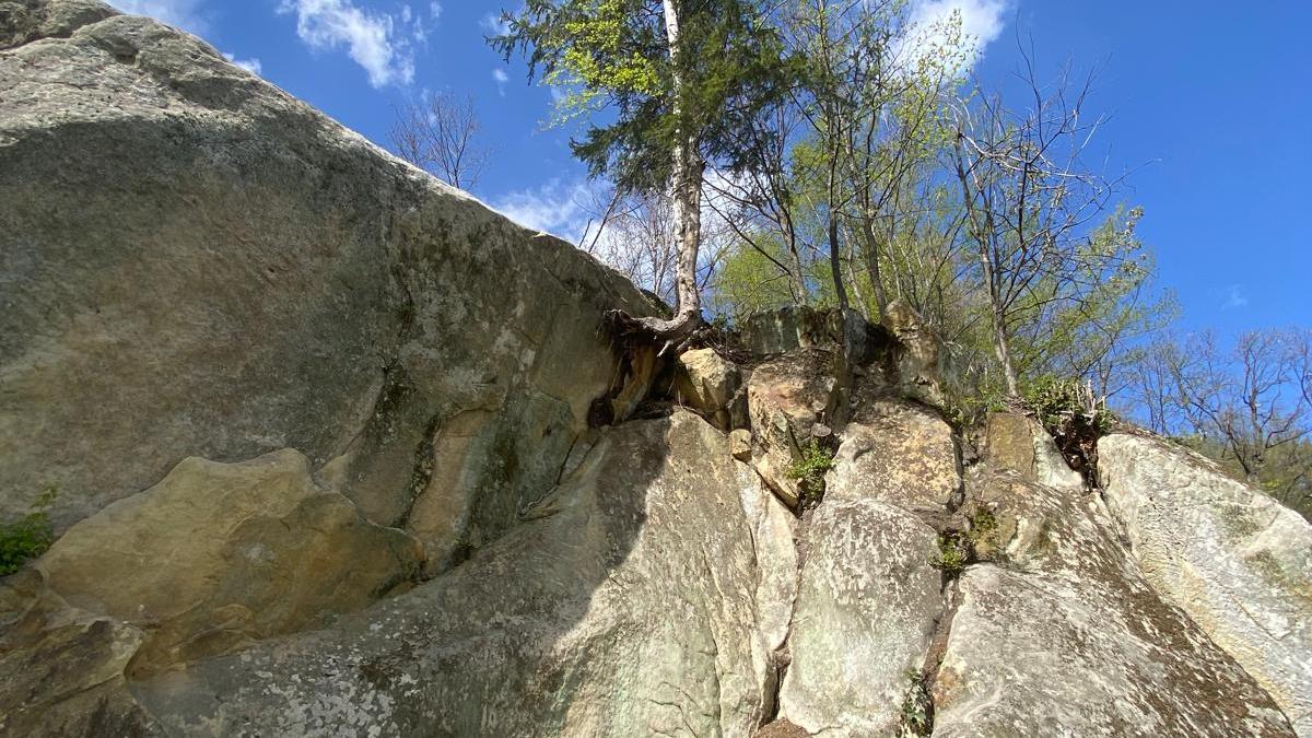 WhatsApp Image 2026-04-15 at 09.14.34 (6)