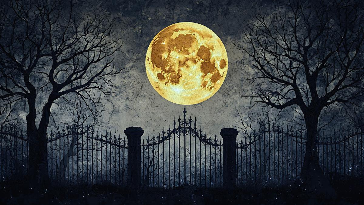 peisaj nocturn luna plina