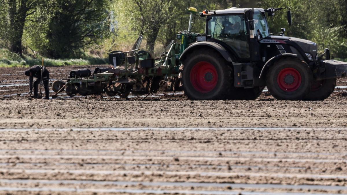 barbat tractor