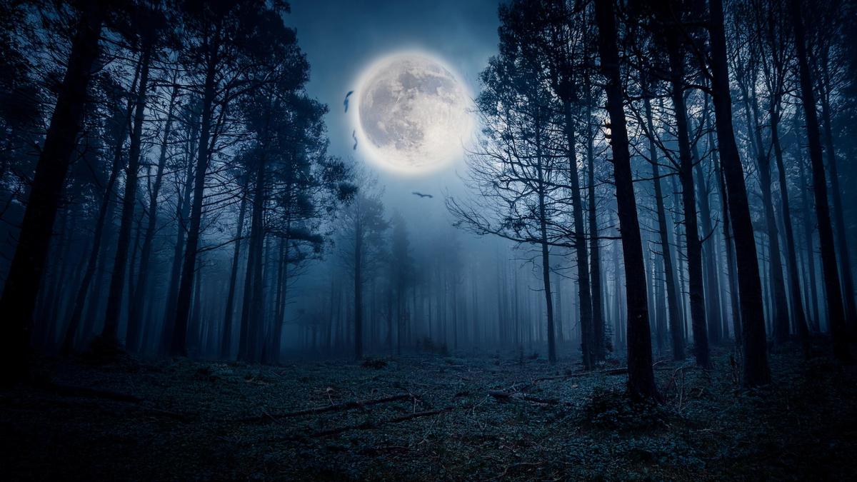 padure luna plina