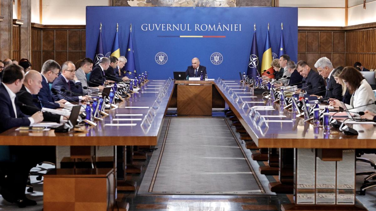 Guvernul României/ sedinta 29 aprilie