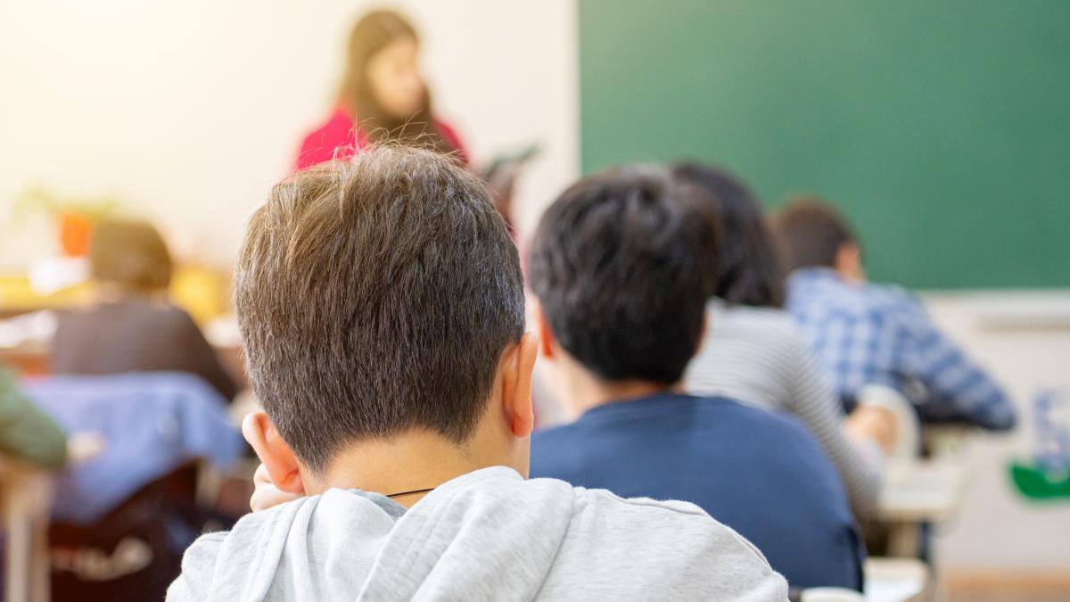 Guvernul crește cu 6,5% costul standard per elev în 2026. La cât ajunge suma