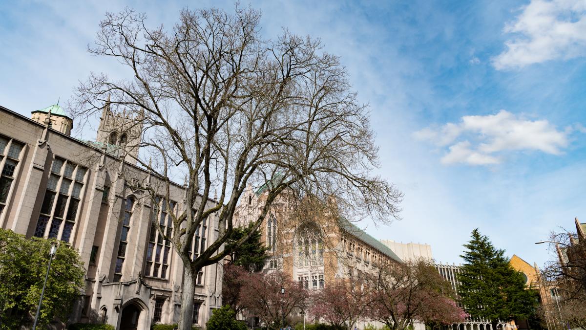 Topul universităților din România. Cine conduce clasamentul oficial publicat de Ministerul Educației
