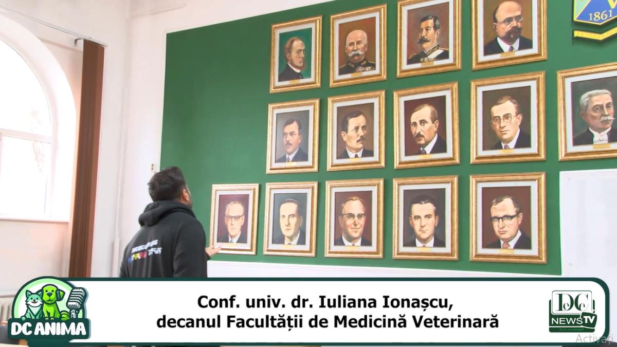Descoperă culisele Facultății de Medicină Veterinară, la DC Anima