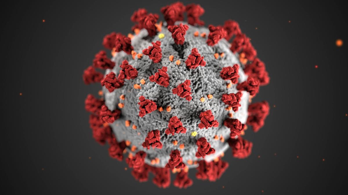 PEXELS / VIRUS